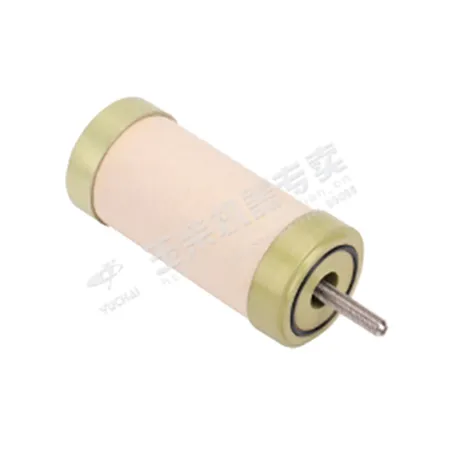 Elemento do filtro de gás